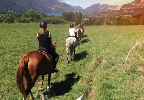 Balades à cheval ou poney